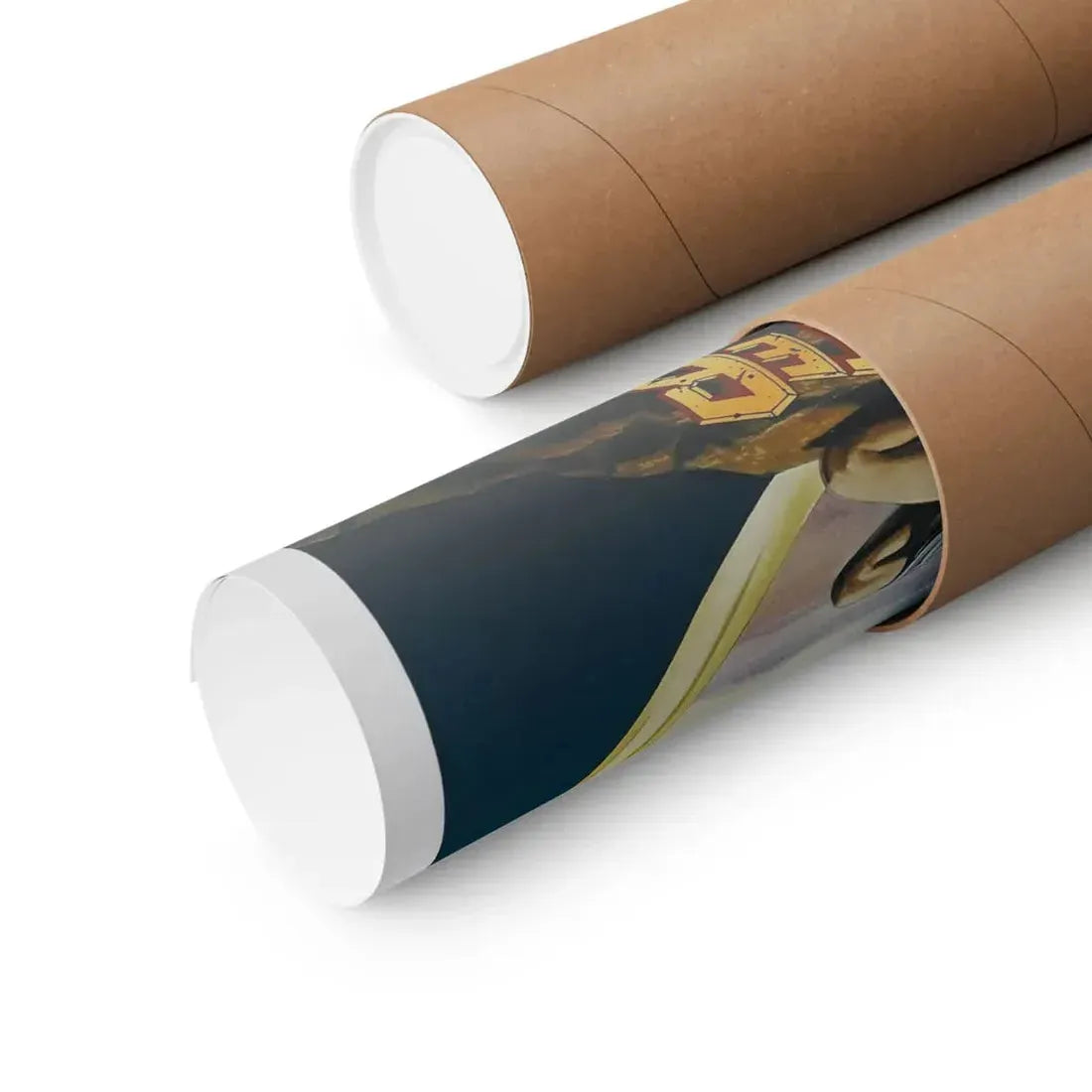 THE BEASTMASTER 1982 - Paper Movie Poster - The Sticker Space