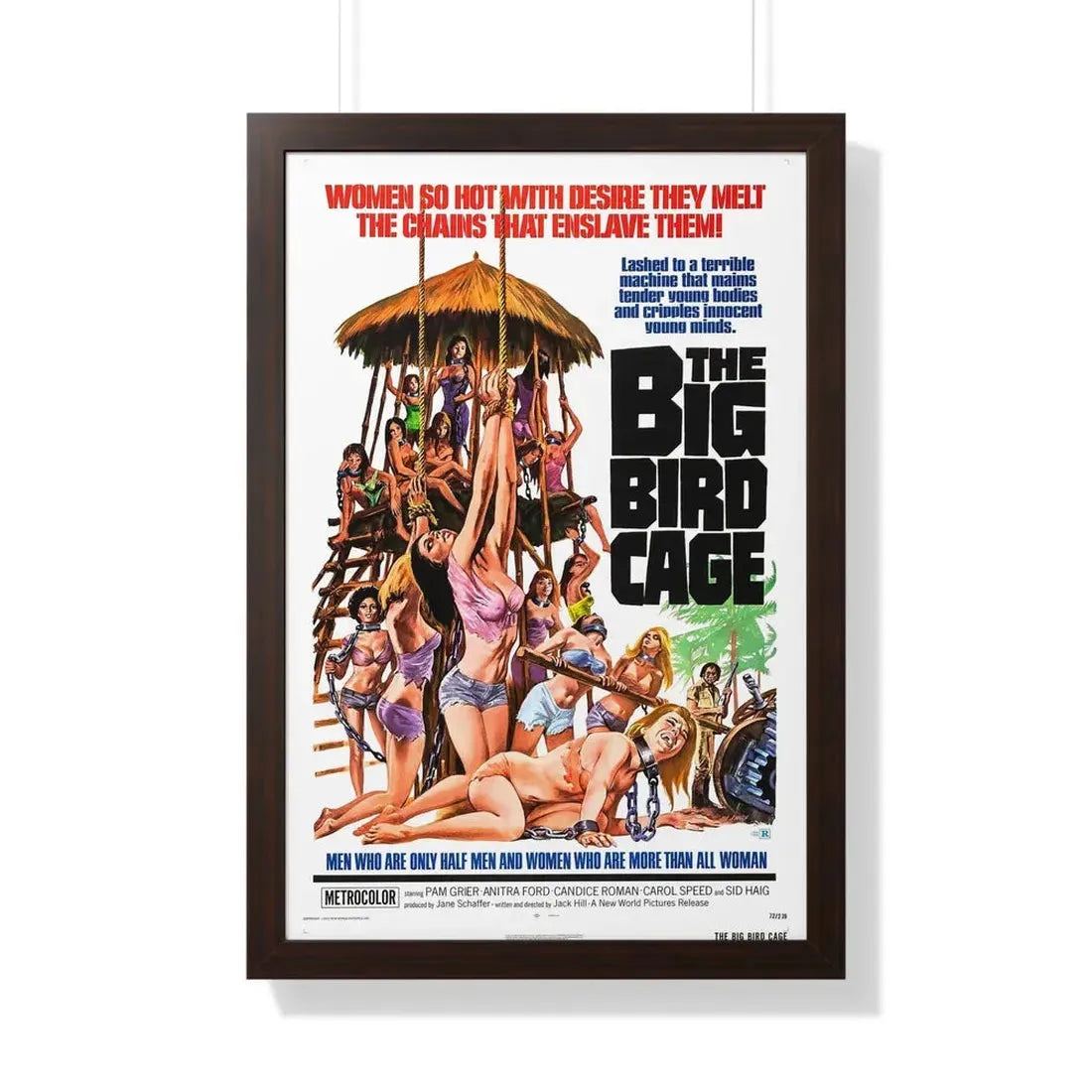 THE BIG BIRD CAGE 1972 - Framed Movie Poster 20" x 30" Walnut - The Sticker Space