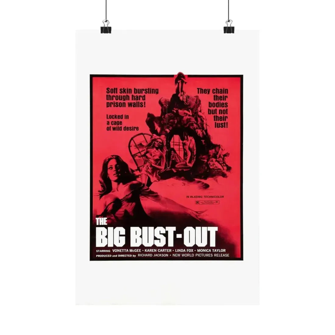 THE BIG BUST-OUT 1972 - Paper Movie Poster 12″ x 18″ Matte - The Sticker Space