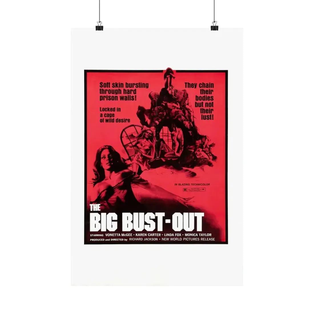 THE BIG BUST-OUT 1972 - Paper Movie Poster 16″ x 24″ Matte - The Sticker Space