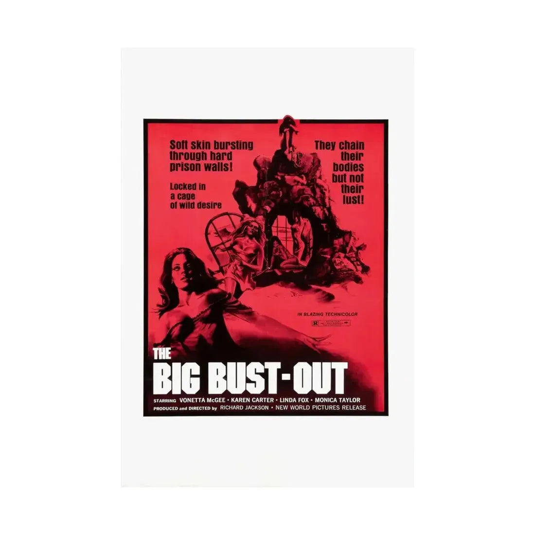 THE BIG BUST-OUT 1972 - Paper Movie Poster - The Sticker Space