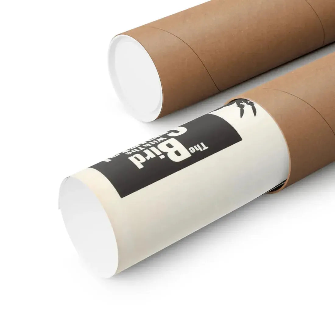 THE BIRD WITH THE CRYSTAL PLUMAGE (2) 1970 - Paper Movie Poster - The Sticker Space