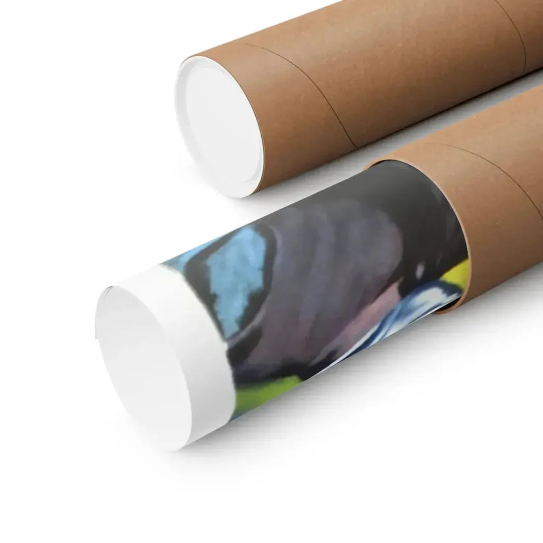 THE BLACK CASTLE 1952 - Paper Movie Poster - The Sticker Space