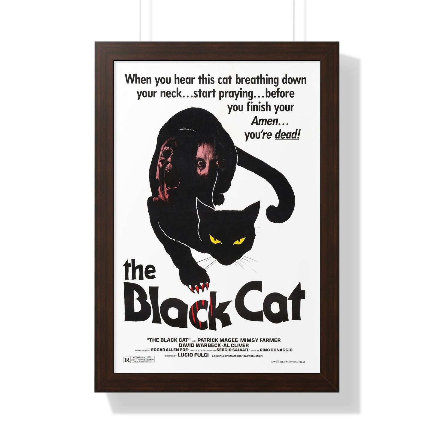 THE BLACK CAT 1981 - Framed Movie Poster-16″ x 24″-The Sticker Space