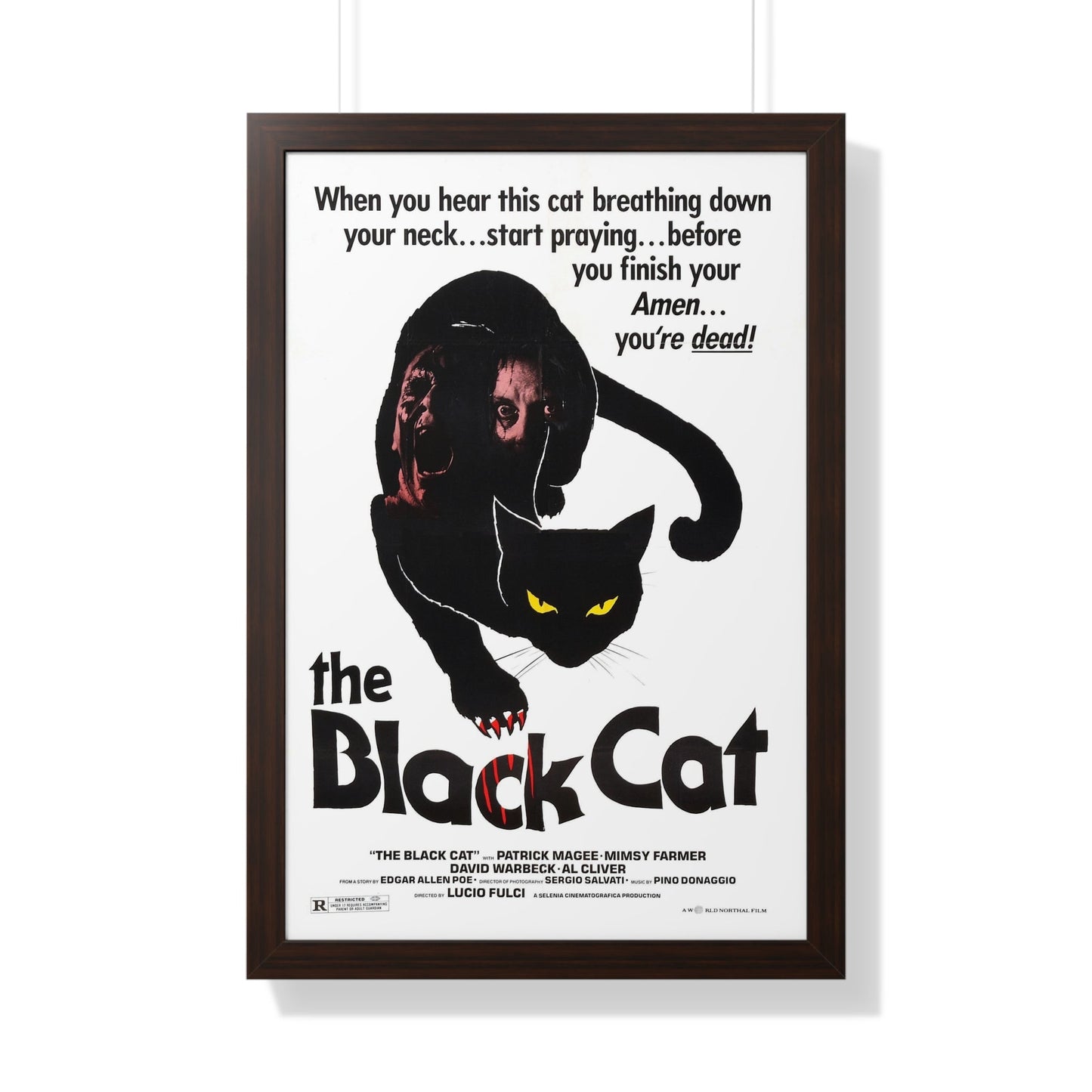 THE BLACK CAT 1981 - Framed Movie Poster-20" x 30"-The Sticker Space