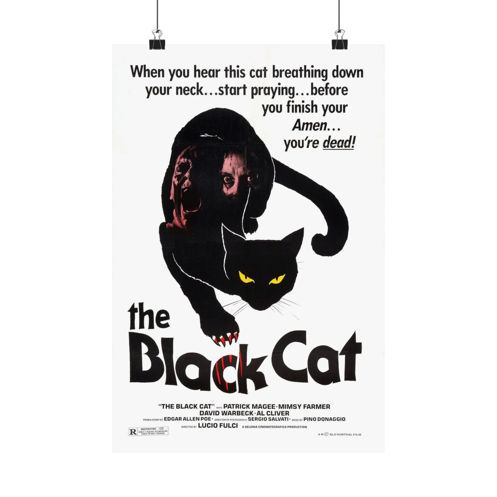 THE BLACK CAT 1981 - Paper Movie Poster-12″ x 18″-The Sticker Space