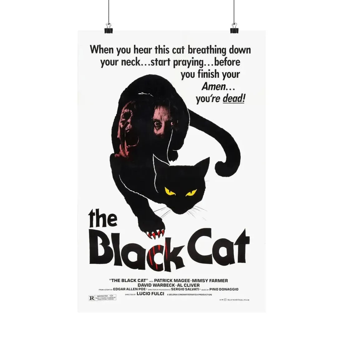 THE BLACK CAT 1981 - Paper Movie Poster 16″ x 24″ Matte - The Sticker Space