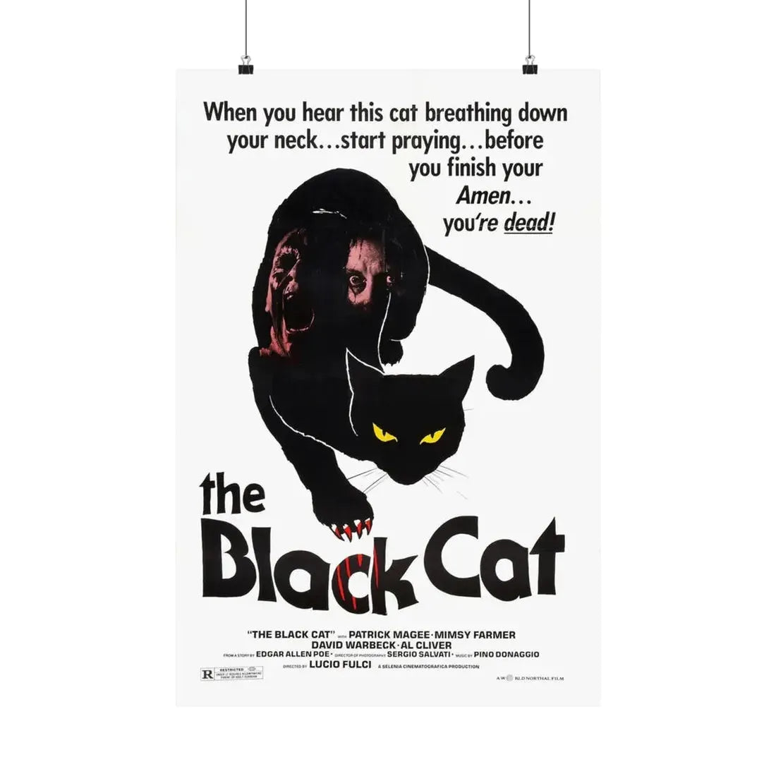 THE BLACK CAT 1981 - Paper Movie Poster 20″ x 30″ Matte - The Sticker Space