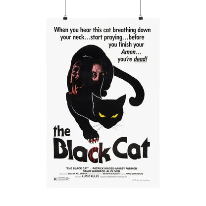 THE BLACK CAT 1981 - Paper Movie Poster 20″ x 30″ Matte - The Sticker Space