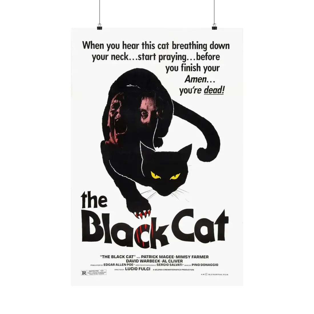 THE BLACK CAT 1981 - Paper Movie Poster 24″ x 36″ Matte - The Sticker Space