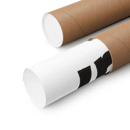 THE BLACK CAT 1981 - Paper Movie Poster - The Sticker Space