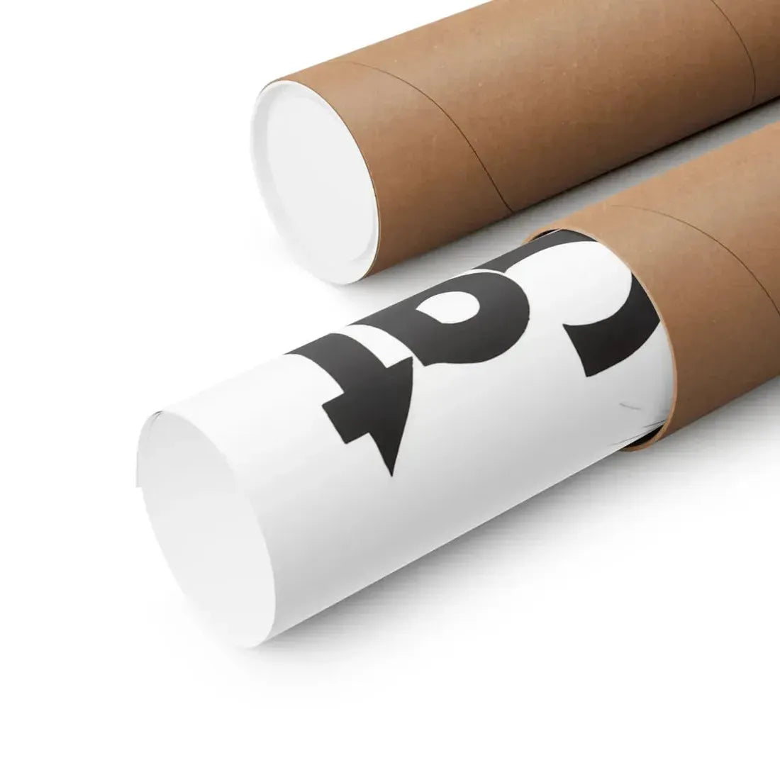 THE BLACK CAT 1981 - Paper Movie Poster - The Sticker Space