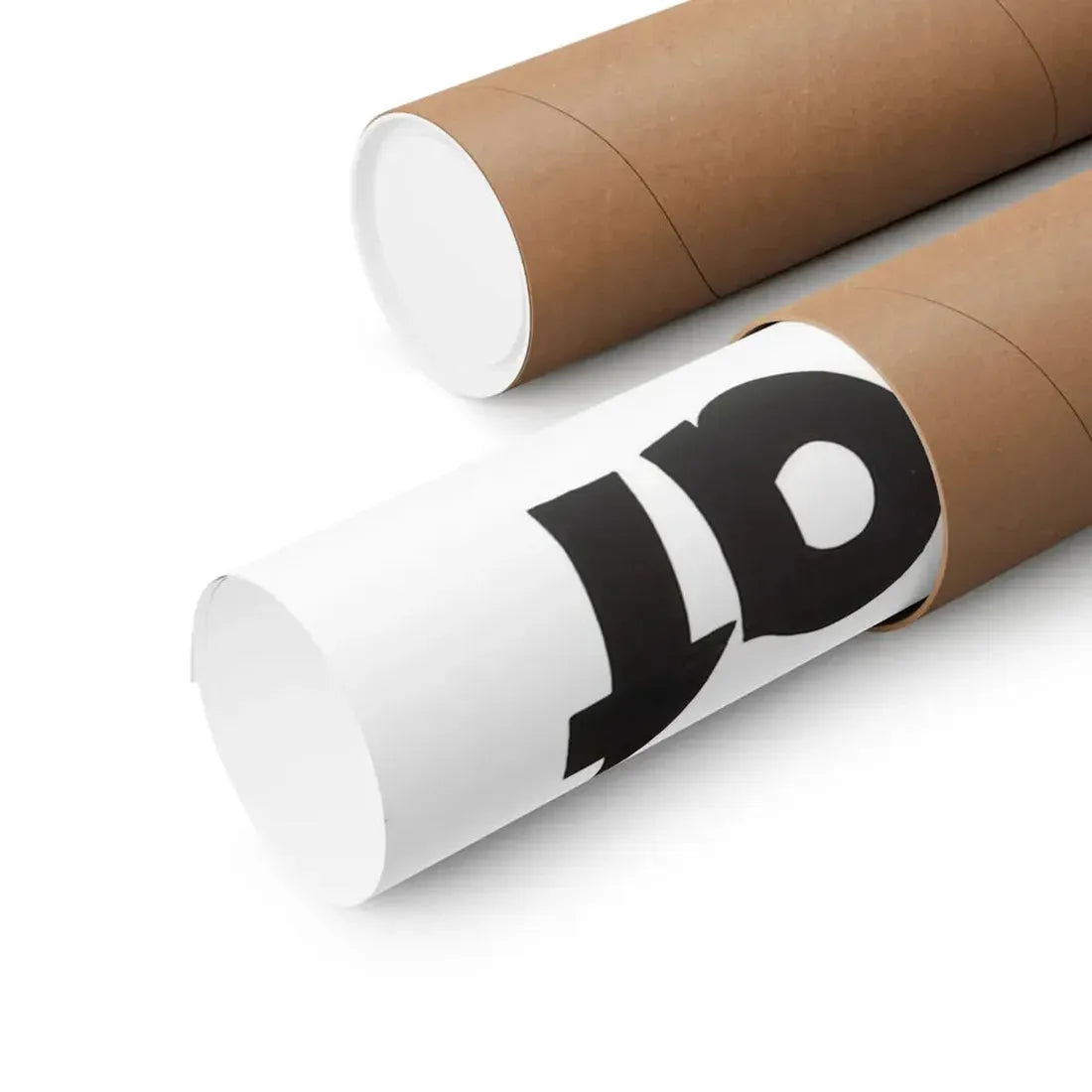 THE BLACK CAT 1981 - Paper Movie Poster - The Sticker Space