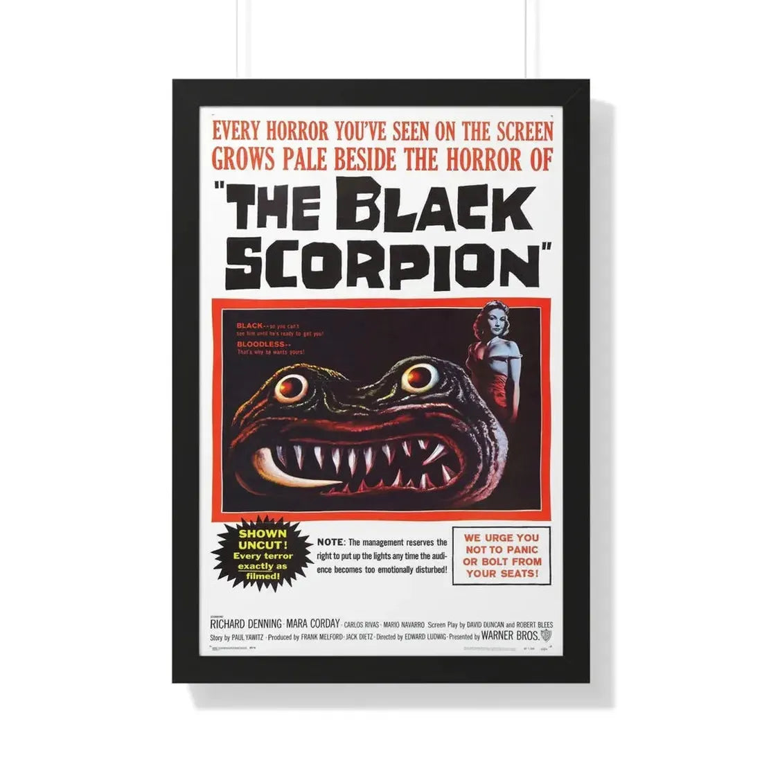 THE BLACK SCORPION 1957 - Framed Movie Poster 20" x 30" Black - The Sticker Space