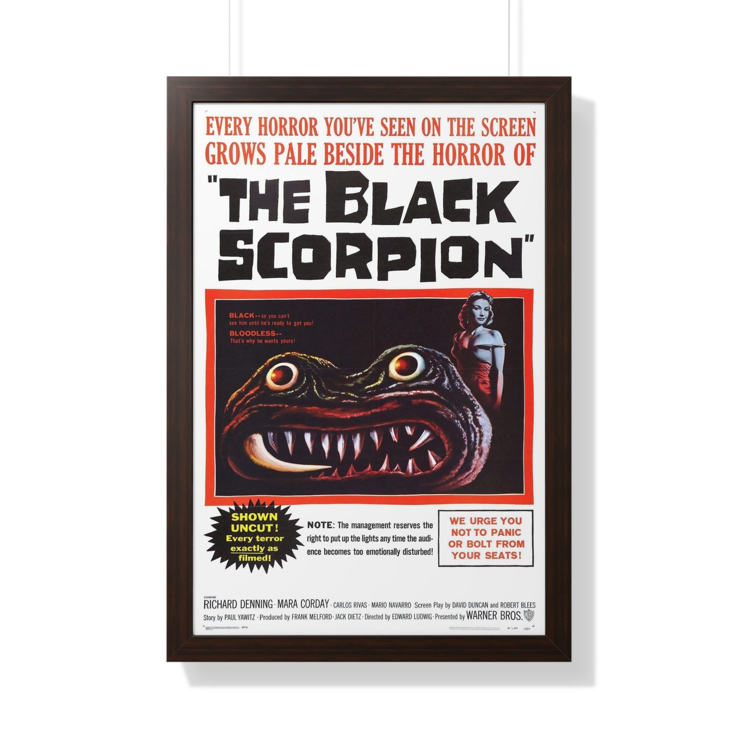 THE BLACK SCORPION 1957 - Framed Movie Poster-20" x 30"-The Sticker Space