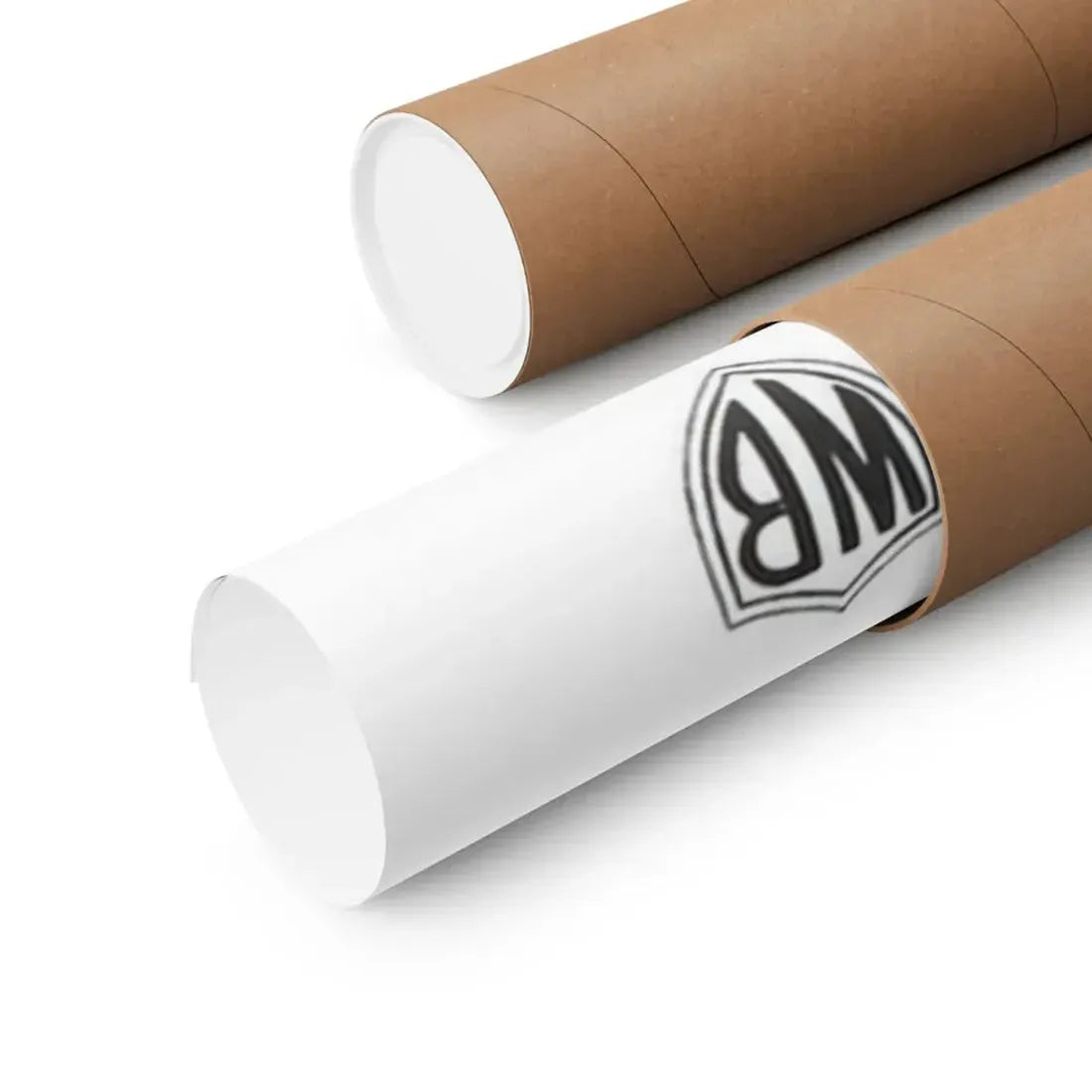 THE BLACK SCORPION (2) 1957 - Paper Movie Poster - The Sticker Space