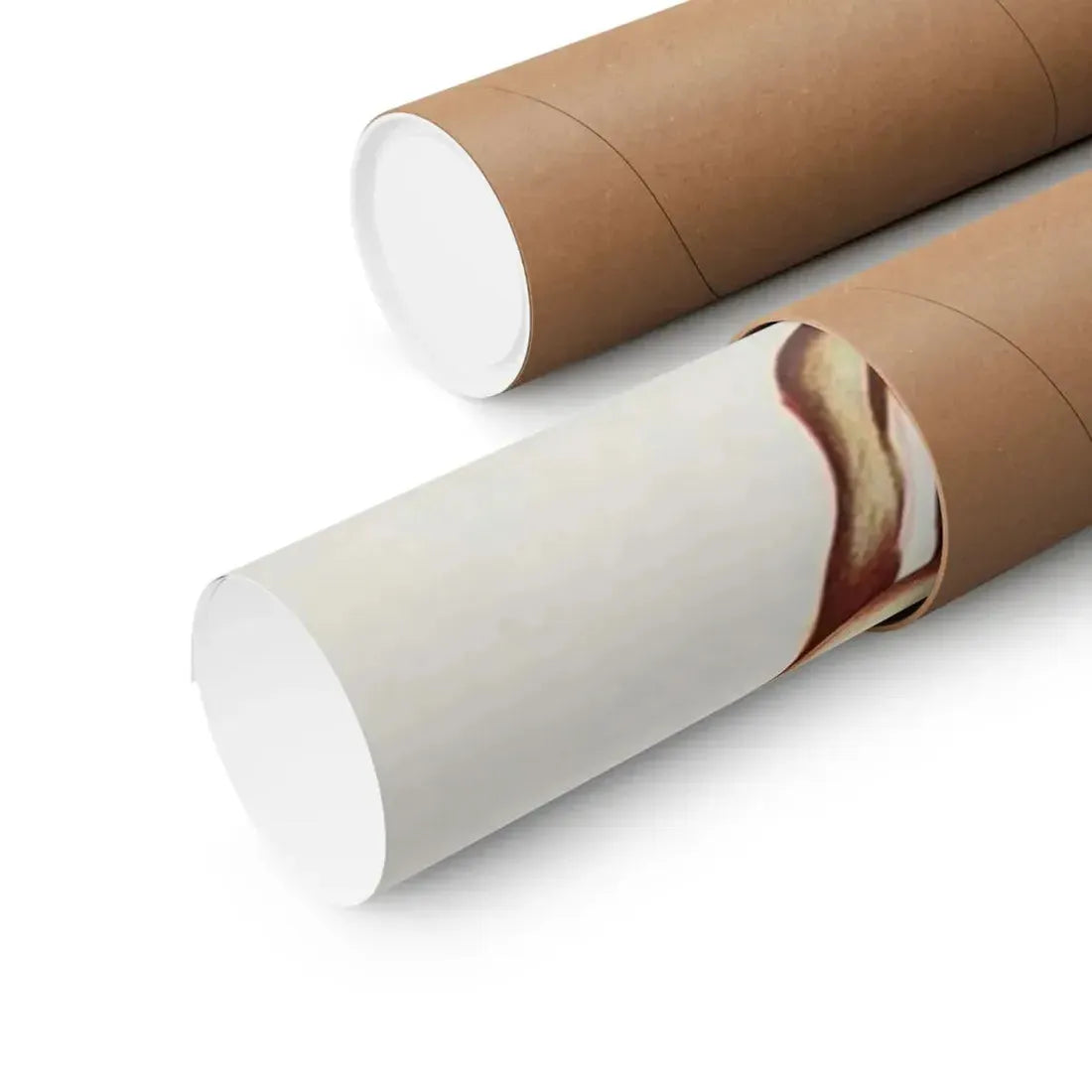 THE BLOODY VAMPIRE 1962 - Paper Movie Poster - The Sticker Space