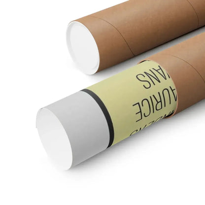 THE BODY STEALERS 1969 - Paper Movie Poster - The Sticker Space