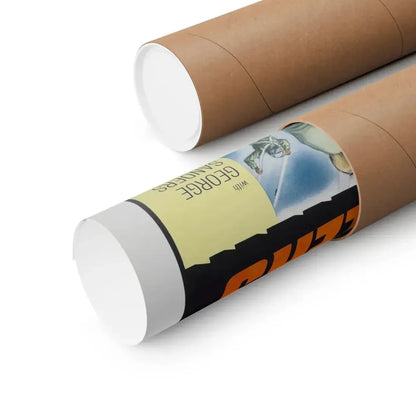 THE BODY STEALERS 1969 - Paper Movie Poster - The Sticker Space