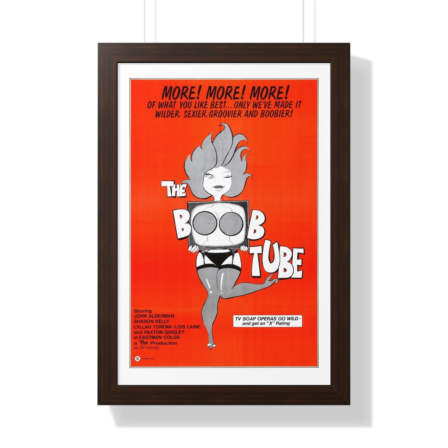 THE BOOBTUBE 1975 - Framed Movie Poster-16″ x 24″-The Sticker Space