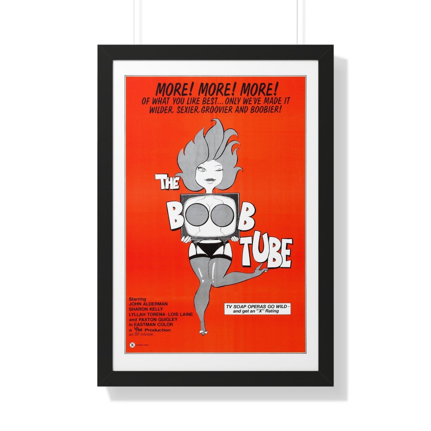 THE BOOBTUBE 1975 - Framed Movie Poster-20" x 30"-The Sticker Space