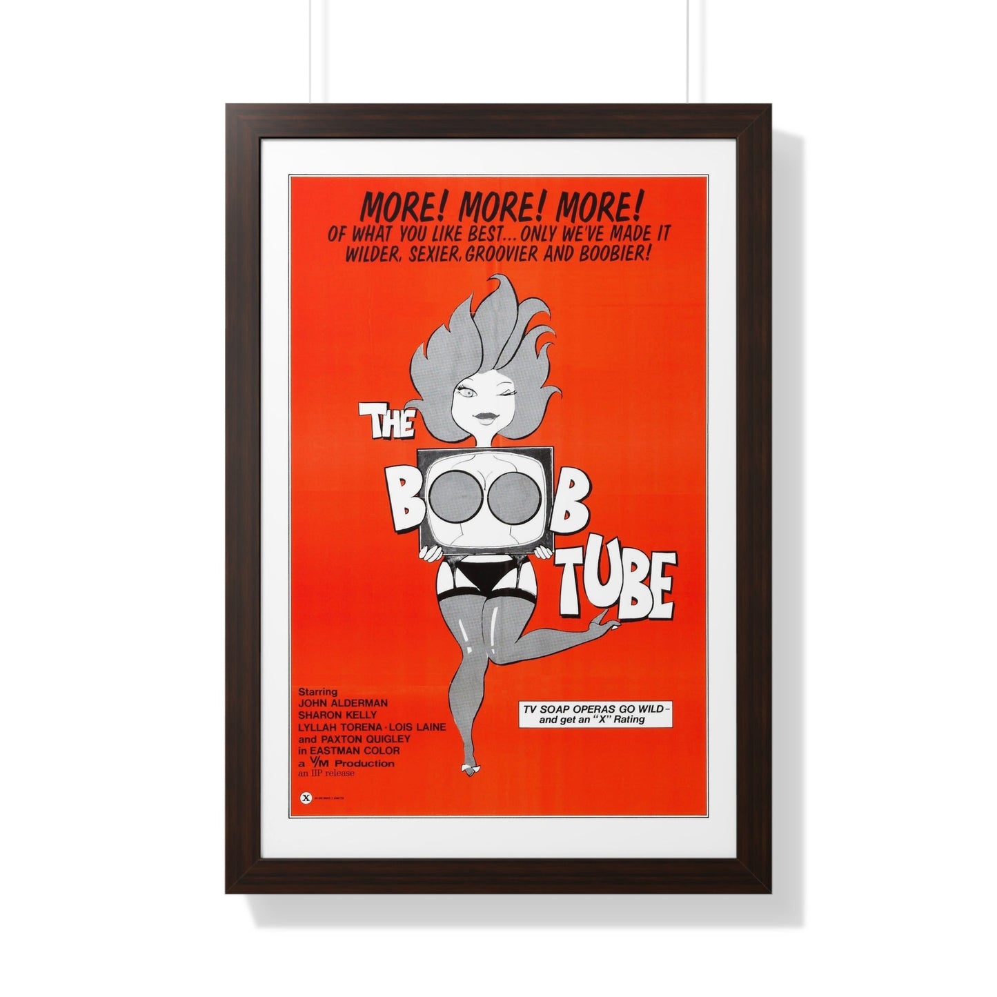 THE BOOBTUBE 1975 - Framed Movie Poster-20" x 30"-The Sticker Space