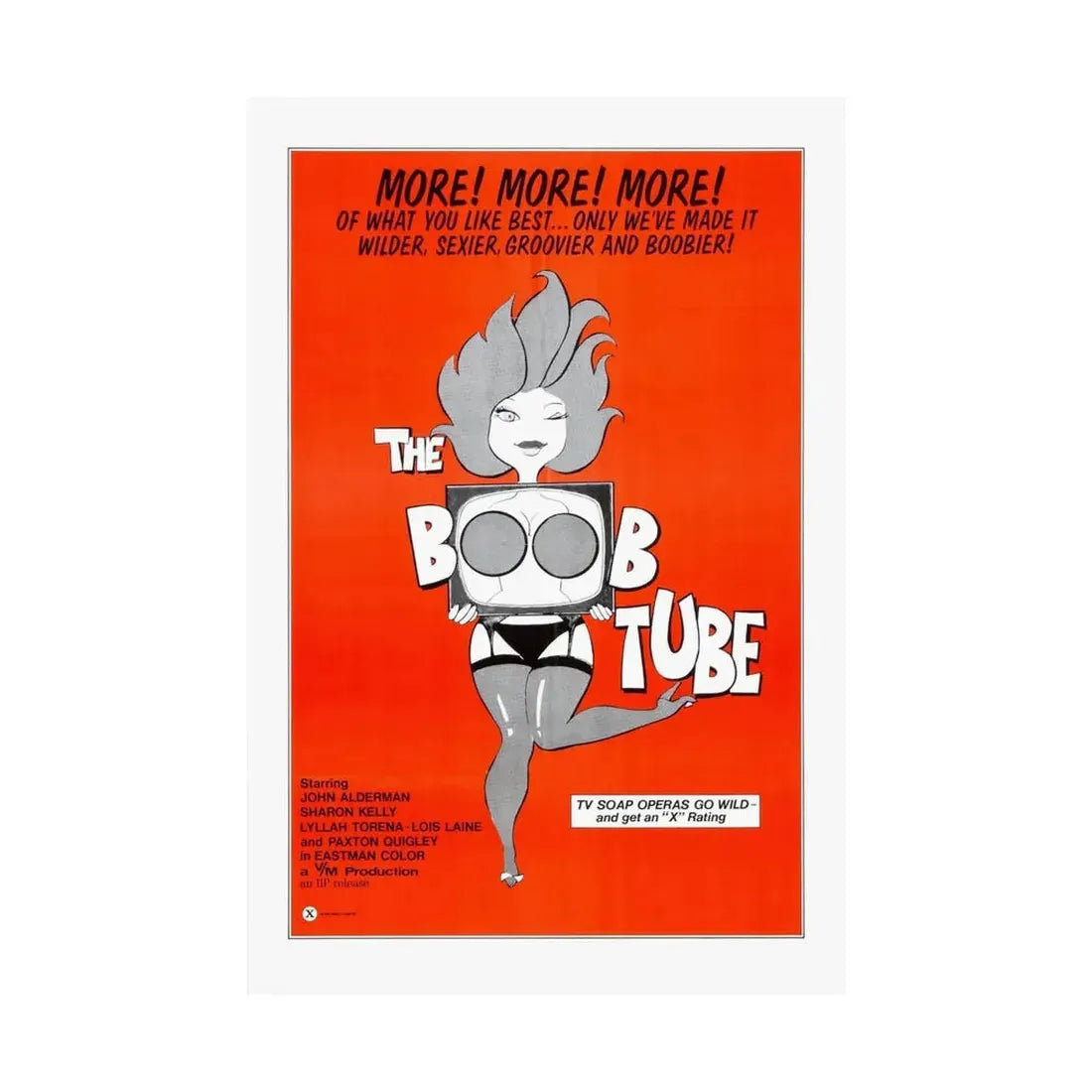 THE BOOBTUBE 1975 - Paper Movie Poster - The Sticker Space