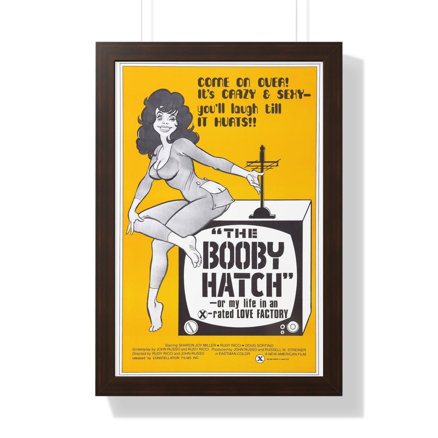 THE BOOBY HATCH 1976 - Framed Movie Poster-16″ x 24″-The Sticker Space