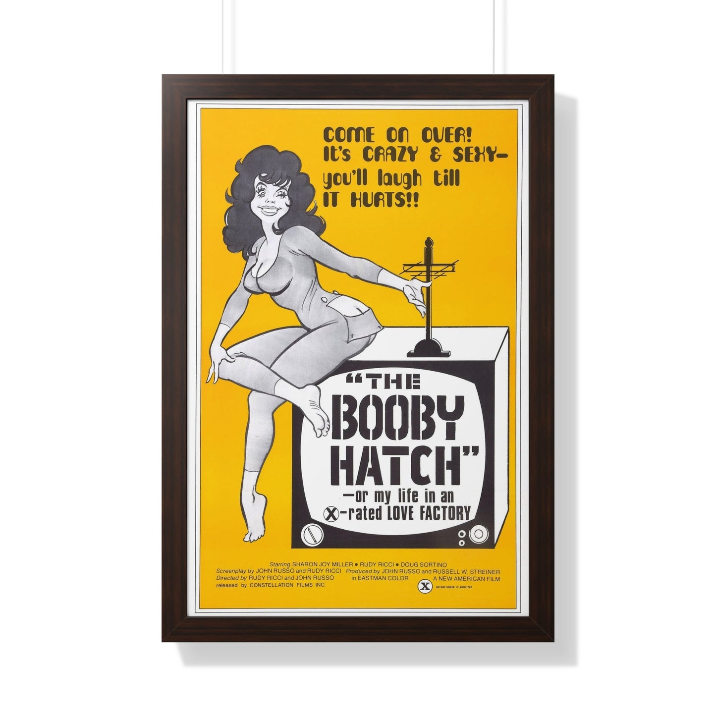 THE BOOBY HATCH 1976 - Framed Movie Poster-20" x 30"-The Sticker Space