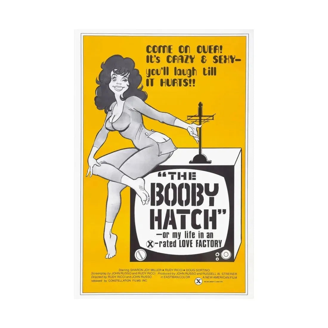 THE BOOBY HATCH 1976 - Paper Movie Poster - The Sticker Space