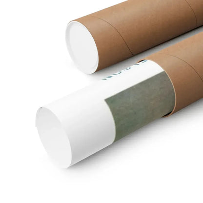 THE BRAIN EATERS 1958 - Paper Movie Poster - The Sticker Space