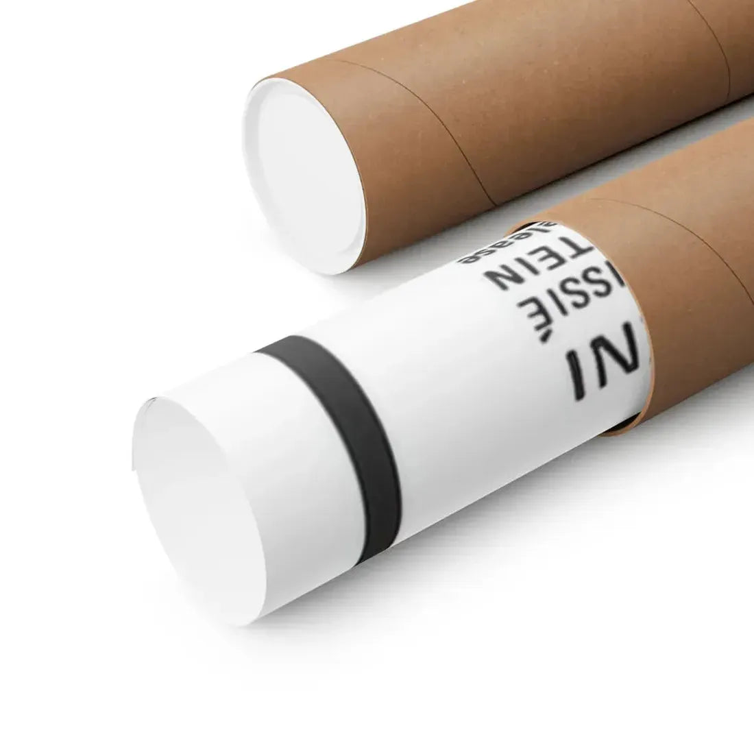 THE BRIDE (THE HOUSE THAT CRIED MURDER) 1973 - Paper Movie Poster - The Sticker Space