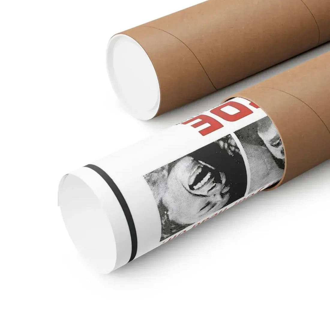 THE BRIDE (THE HOUSE THAT CRIED MURDER) 1973 - Paper Movie Poster - The Sticker Space