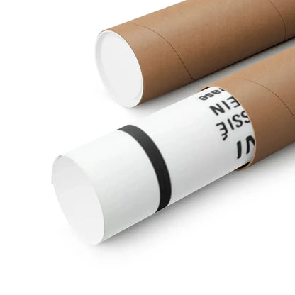 THE BRIDE (THE HOUSE THAT CRIED MURDER) 2 1973 - Paper Movie Poster - The Sticker Space