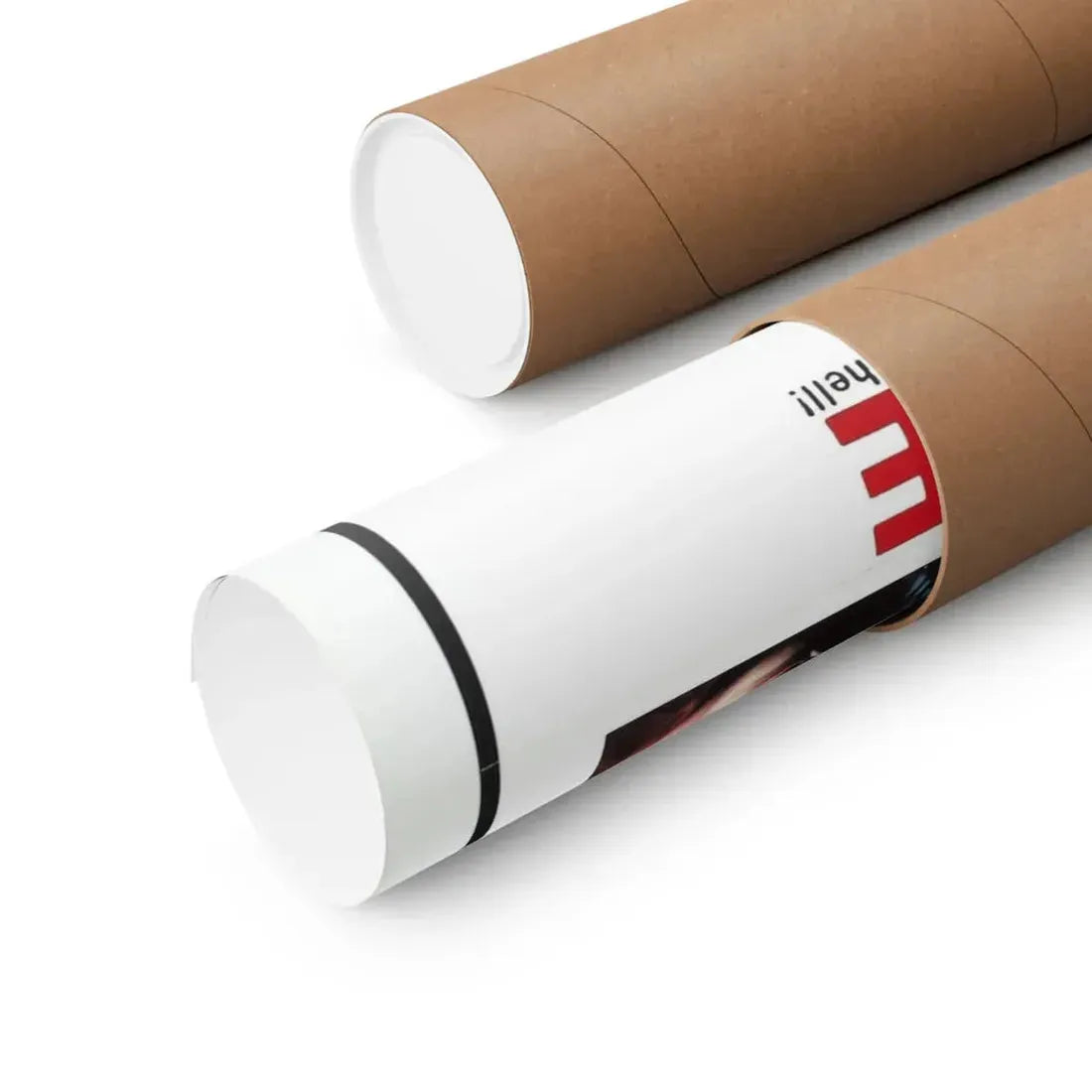 THE BRIDE (THE HOUSE THAT CRIED MURDER) 2 1973 - Paper Movie Poster - The Sticker Space