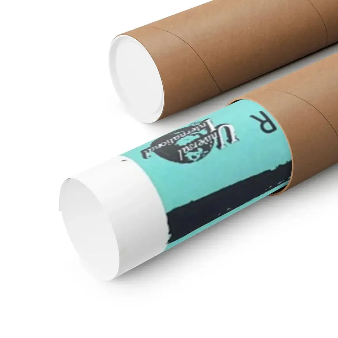 THE BRIDES OF DRACULA (2) 1960 - Paper Movie Poster - The Sticker Space