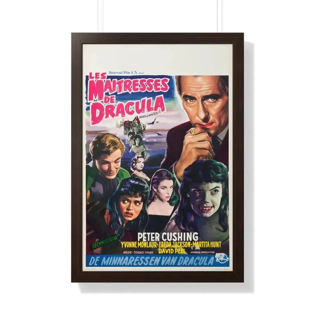 THE BRIDES OF DRACULA (BELGIAN) 1960 - Framed Movie Poster 20" x 30" Walnut - The Sticker Space