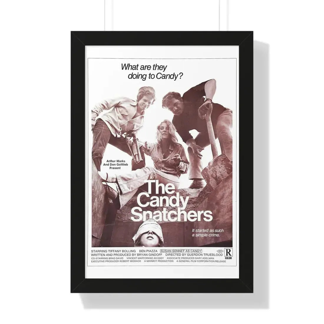 THE CANDY SNATCHERS 1973 - Framed Movie Poster 16″ x 24″ Black - The Sticker Space