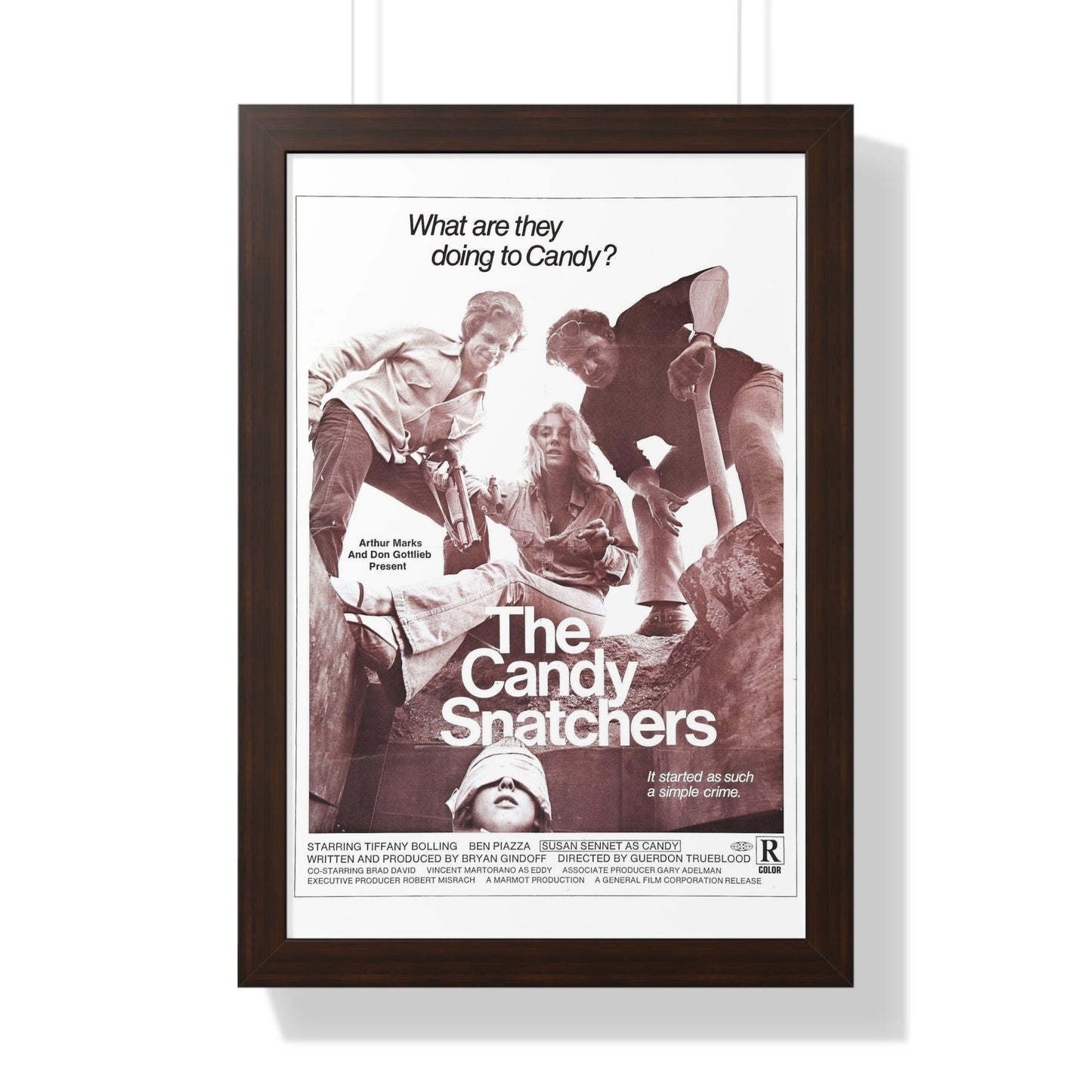 THE CANDY SNATCHERS 1973 - Framed Movie Poster-16″ x 24″-The Sticker Space