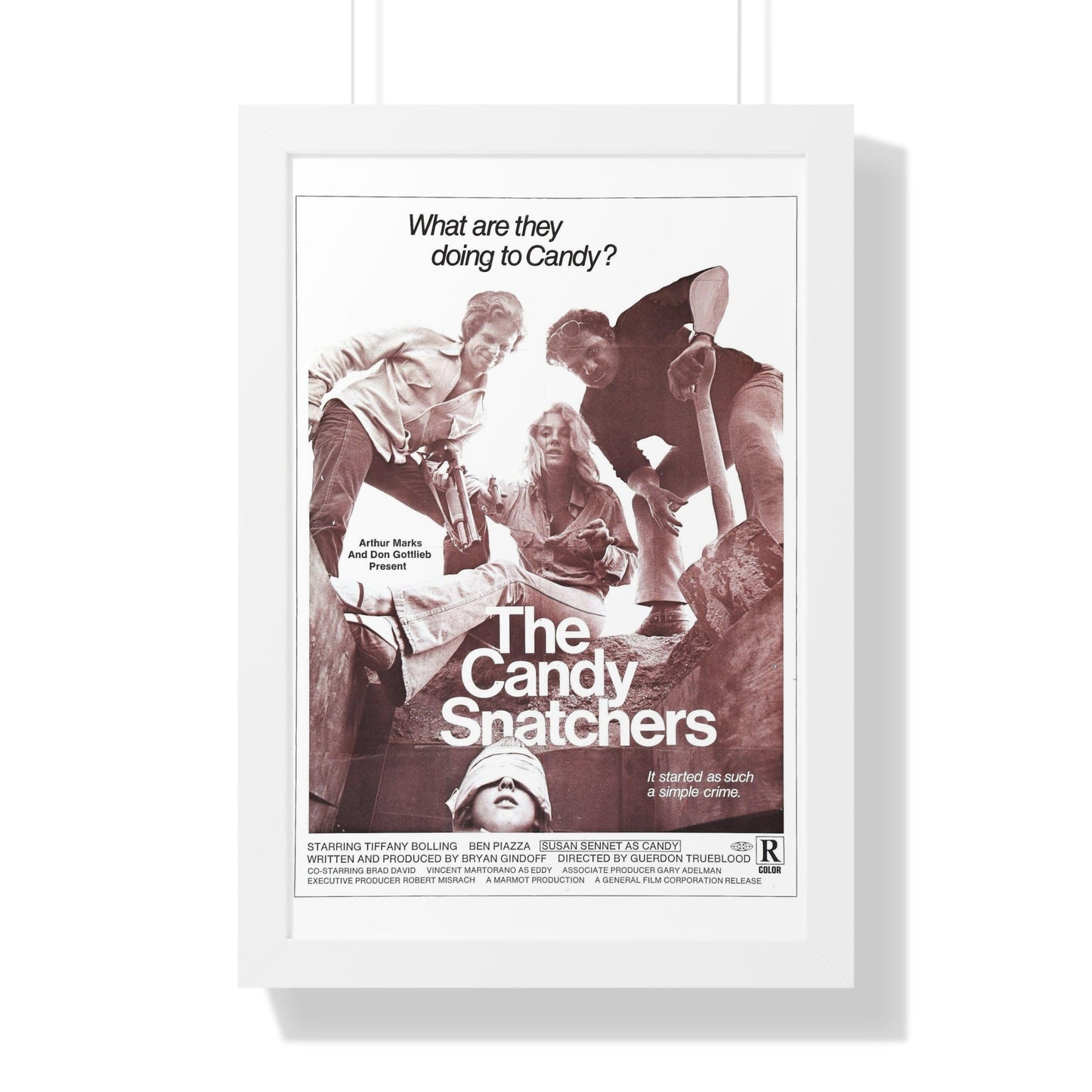 THE CANDY SNATCHERS 1973 - Framed Movie Poster-16″ x 24″-The Sticker Space