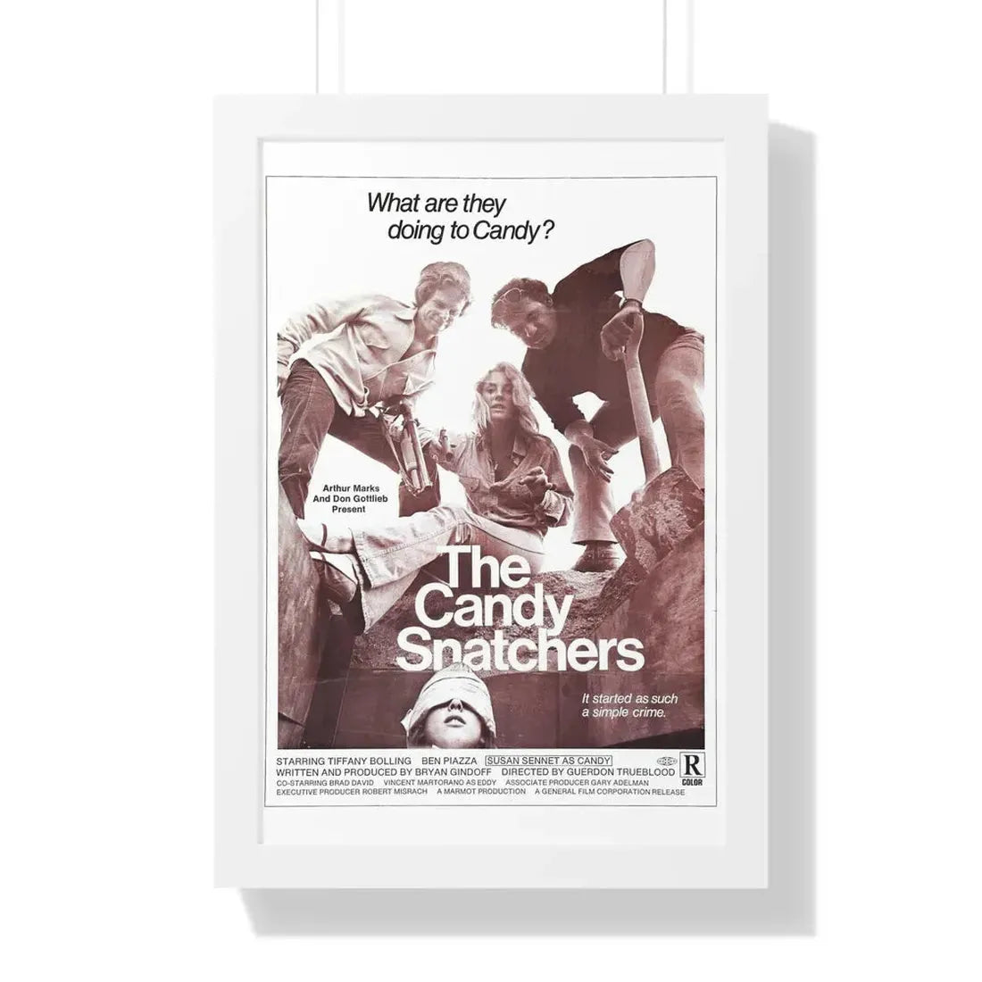 THE CANDY SNATCHERS 1973 - Framed Movie Poster 16″ x 24″ White - The Sticker Space