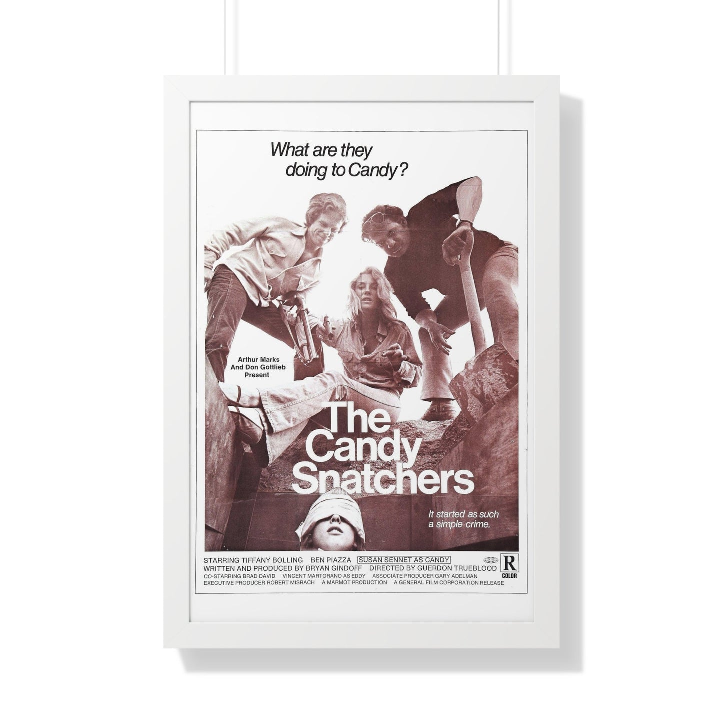 THE CANDY SNATCHERS 1973 - Framed Movie Poster-20" x 30"-The Sticker Space