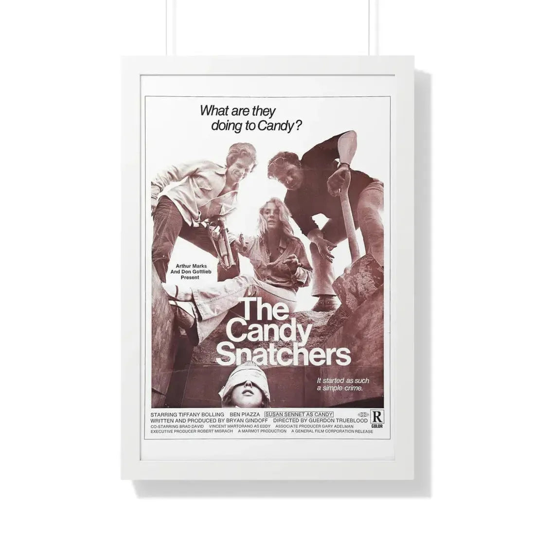THE CANDY SNATCHERS 1973 - Framed Movie Poster 20" x 30" White - The Sticker Space