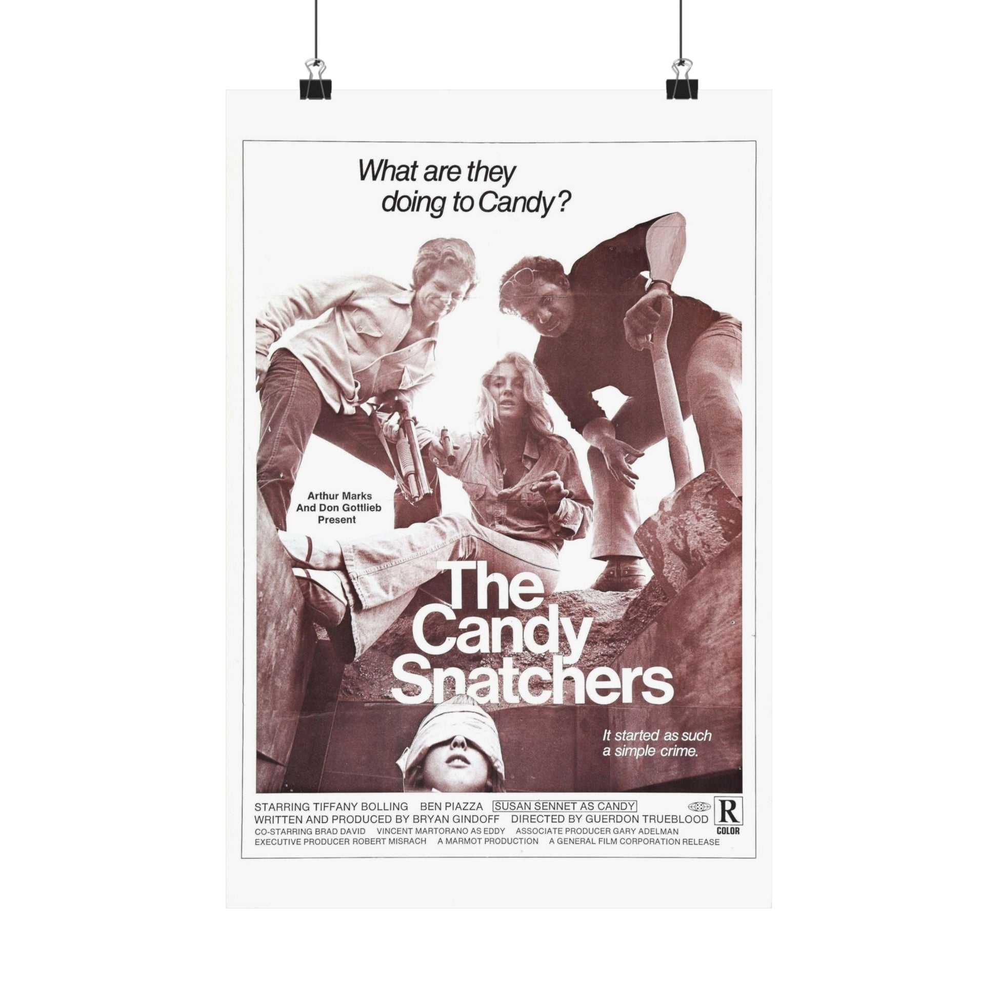 THE CANDY SNATCHERS 1973 - Paper Movie Poster-12″ x 18″-The Sticker Space