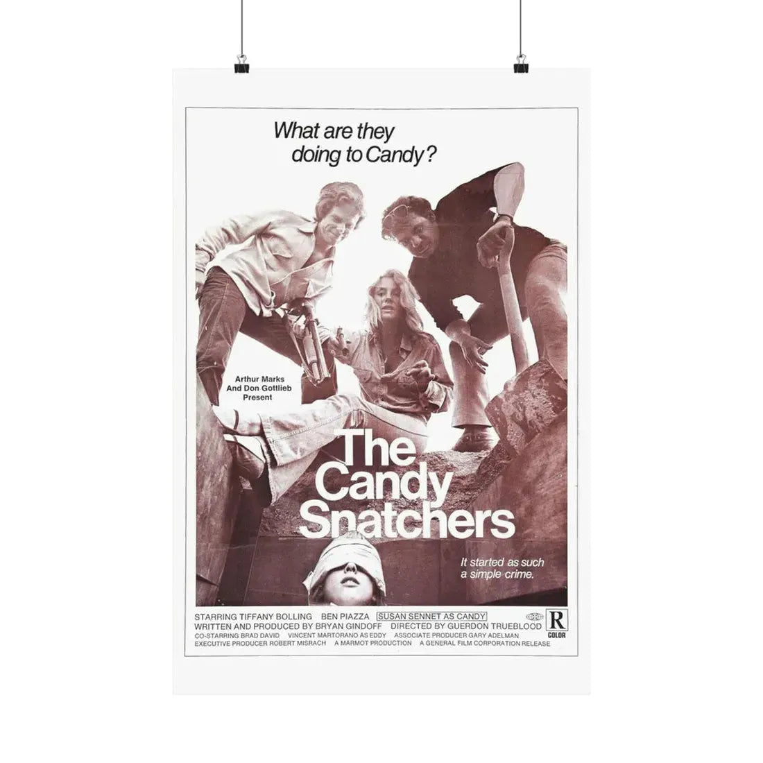 THE CANDY SNATCHERS 1973 - Paper Movie Poster 20″ x 30″ Matte - The Sticker Space