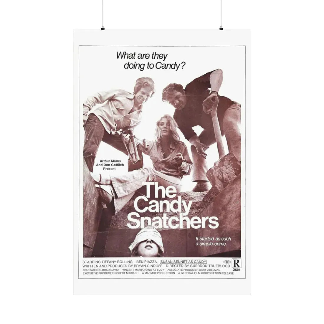 THE CANDY SNATCHERS 1973 - Paper Movie Poster 36" x 54" Matte - The Sticker Space