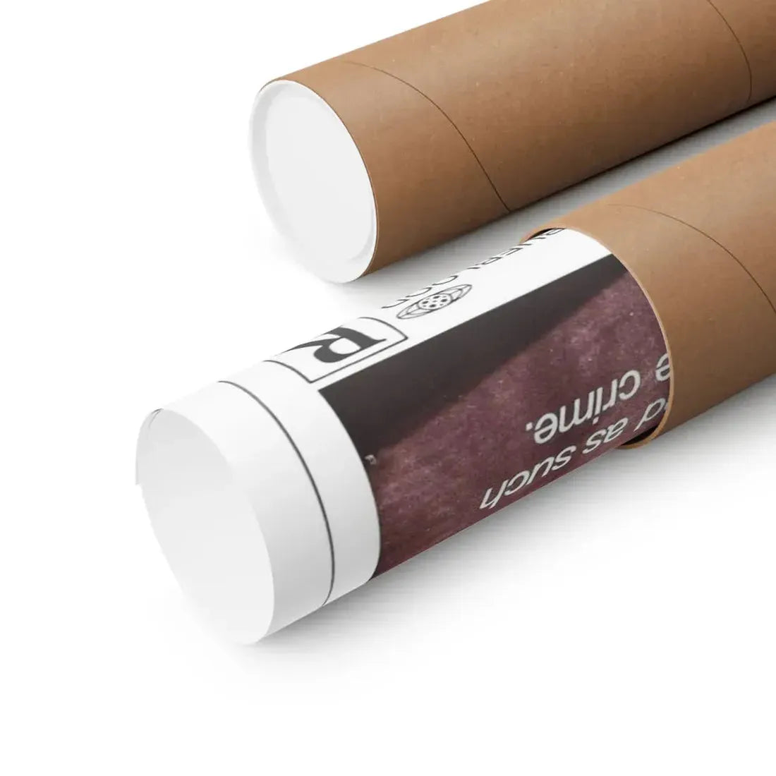 THE CANDY SNATCHERS 1973 - Paper Movie Poster - The Sticker Space