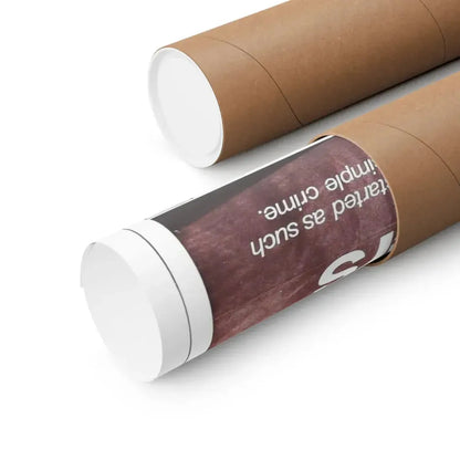 THE CANDY SNATCHERS 1973 - Paper Movie Poster - The Sticker Space