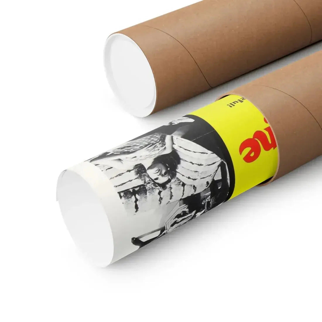 THE CAT O'NINE TAILS 1971 - Paper Movie Poster - The Sticker Space