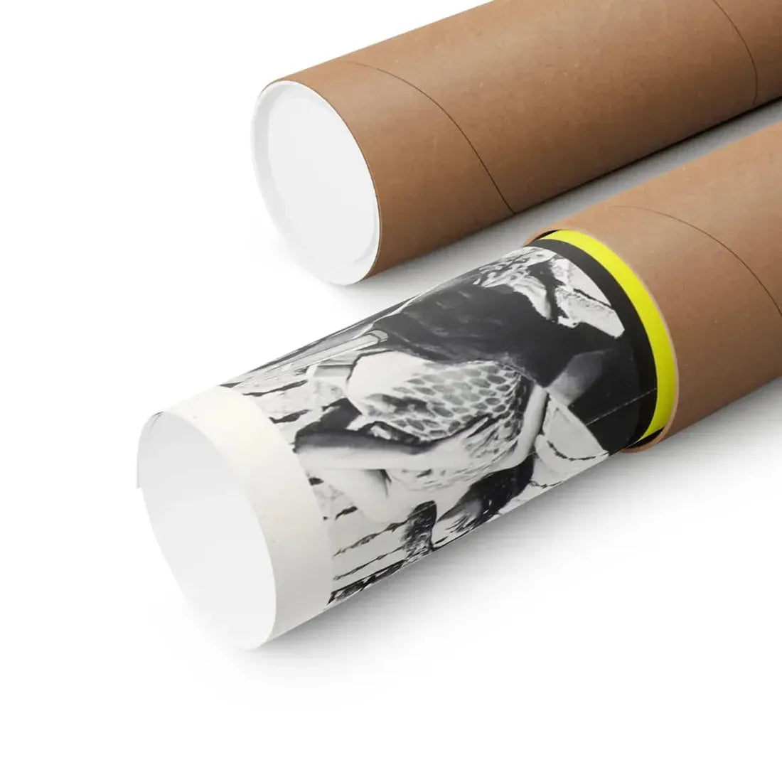 THE CAT O'NINE TAILS 1971 - Paper Movie Poster - The Sticker Space